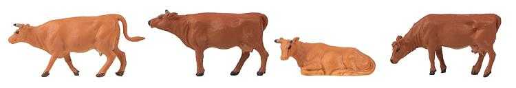 Vaches brunes - Scène sonore