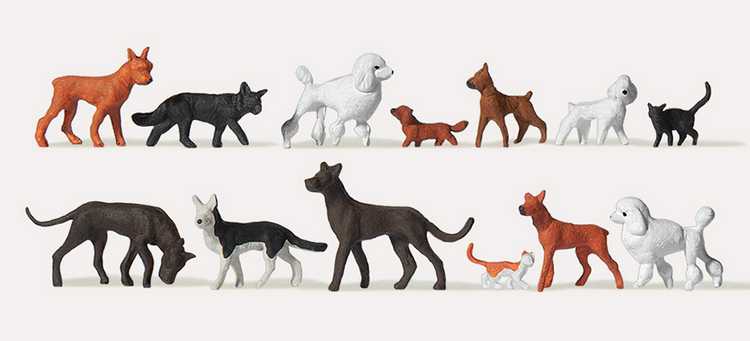 Chiens - Chats