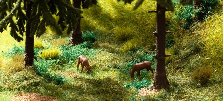 Set de départ Végétation En forêt - Cliquez sur l'image pour la fermer